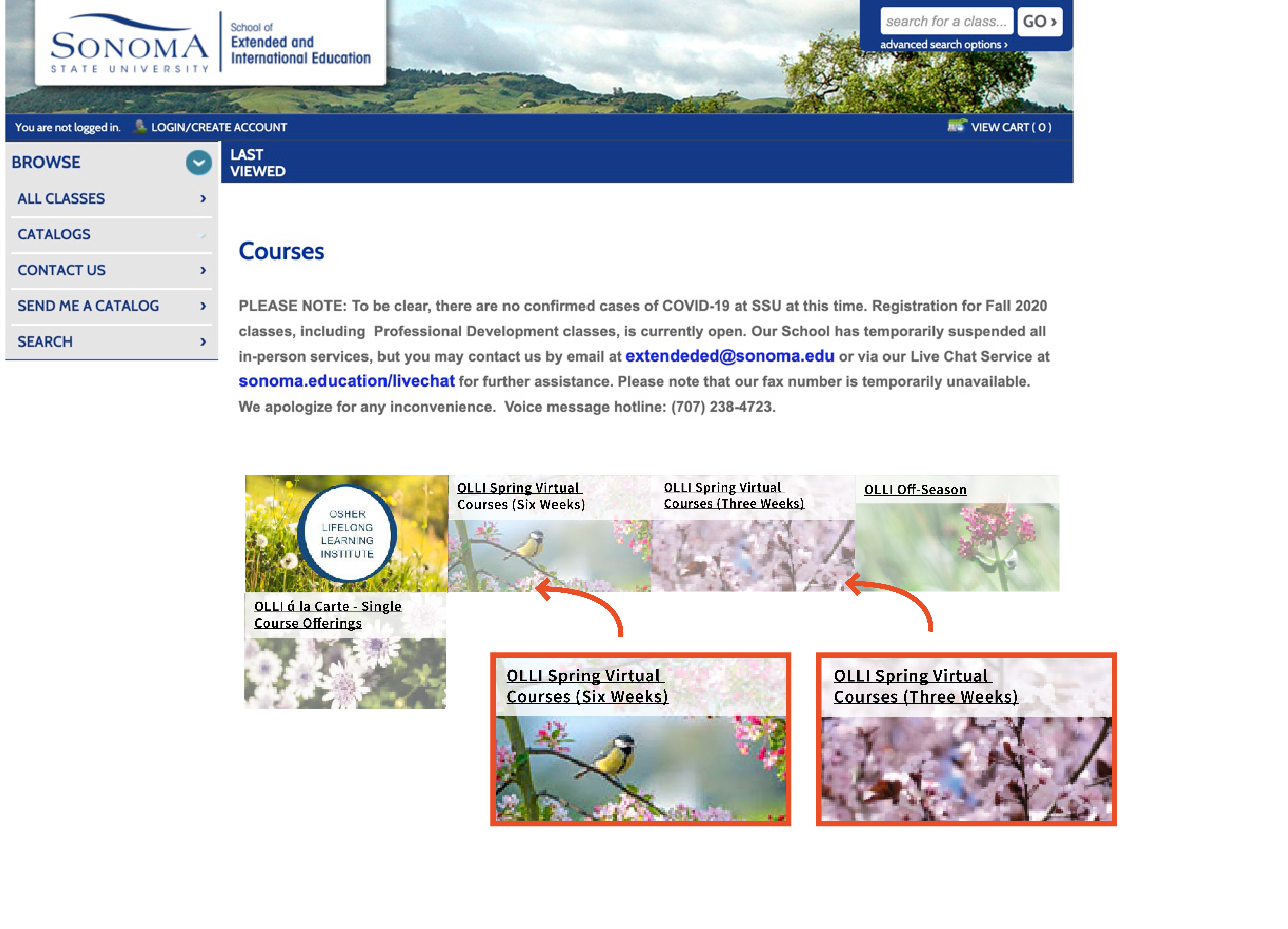 Screenshot of step 7