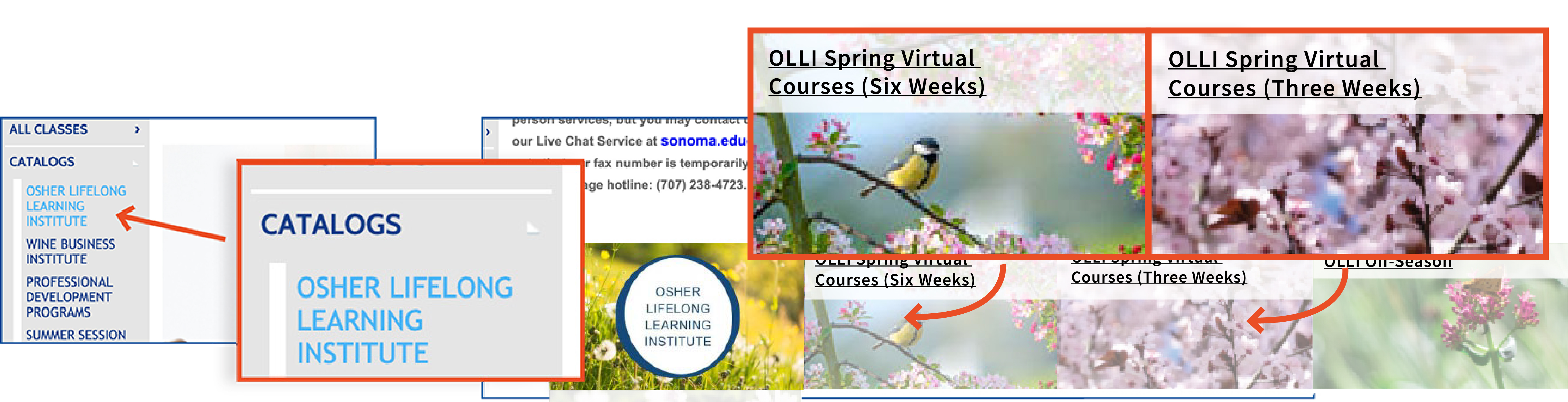 Screenshot of step 1