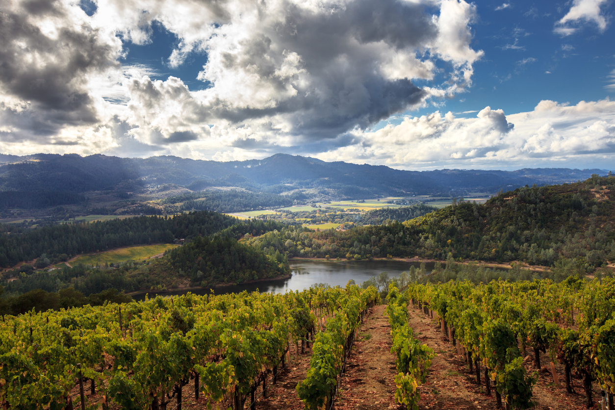 Sonoma County hidden landscapes