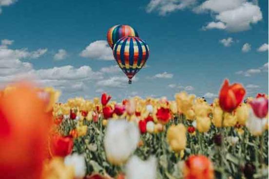 A hot air balloon in the air over a field of colorful tulips