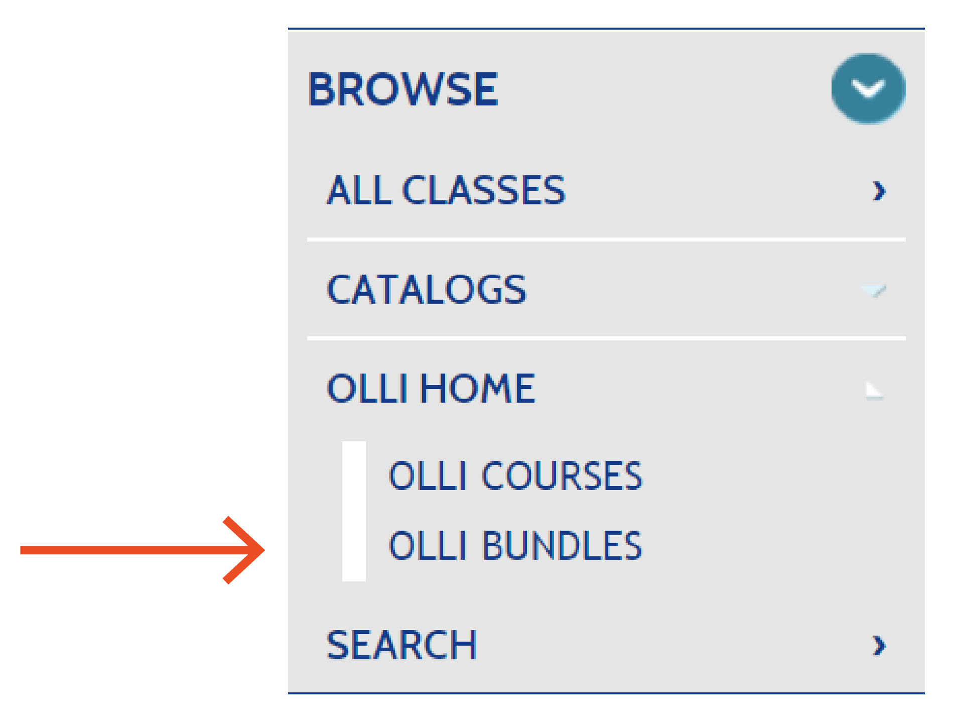 Screenshot of the left side of the OLLI menu with the OLLI Bundles option highlighted.