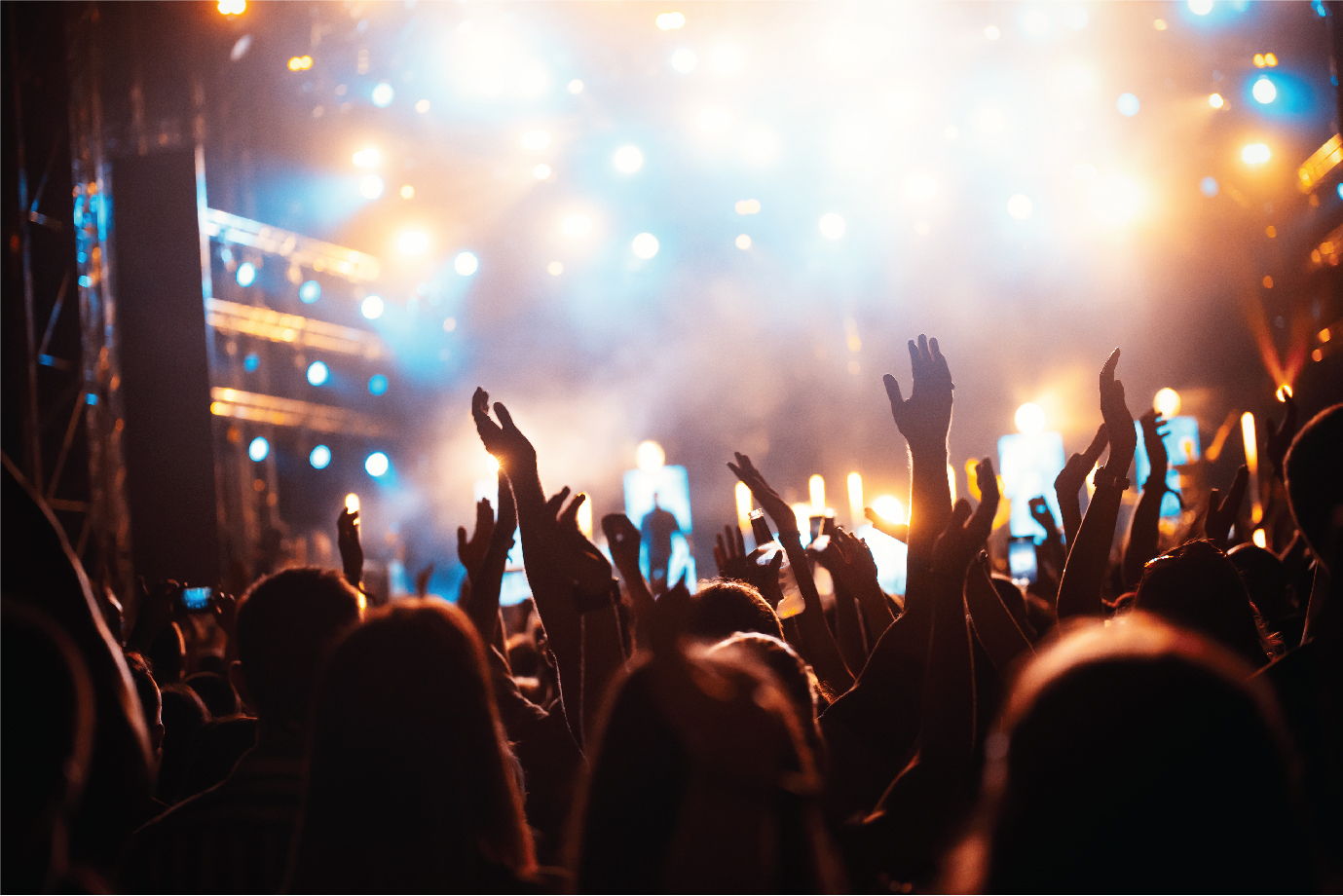 Attendees at a rock concert