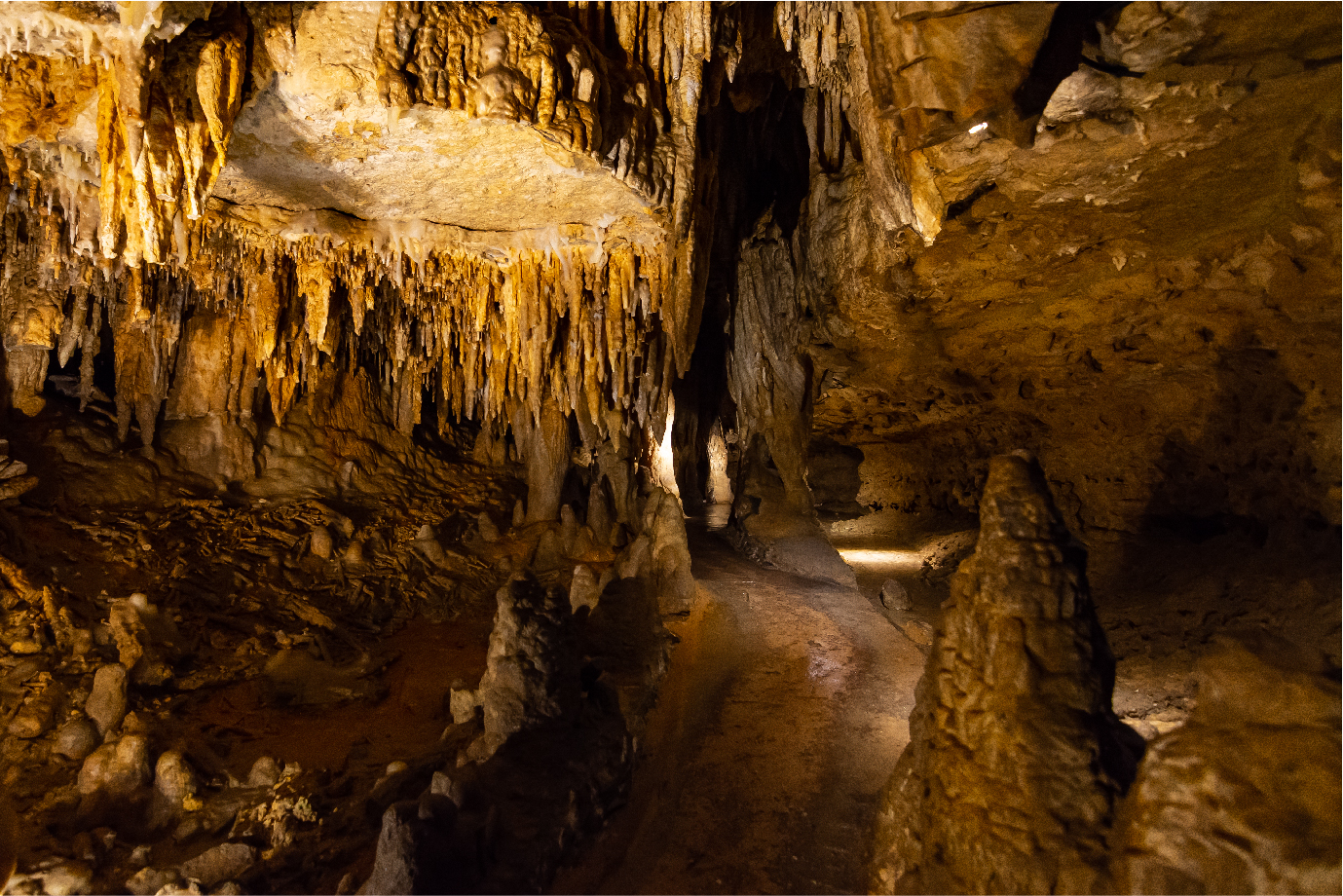 Scene inside a cave