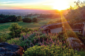 Paradise Ridge Winery in the sunset