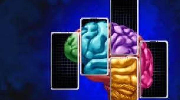 multi-color brain and geometric shapes