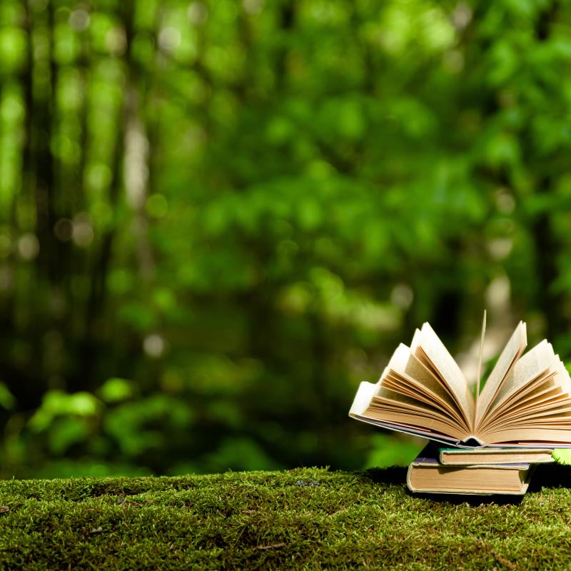 open book with a forest landscape