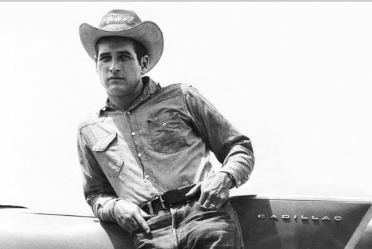 Paul Newman photo
